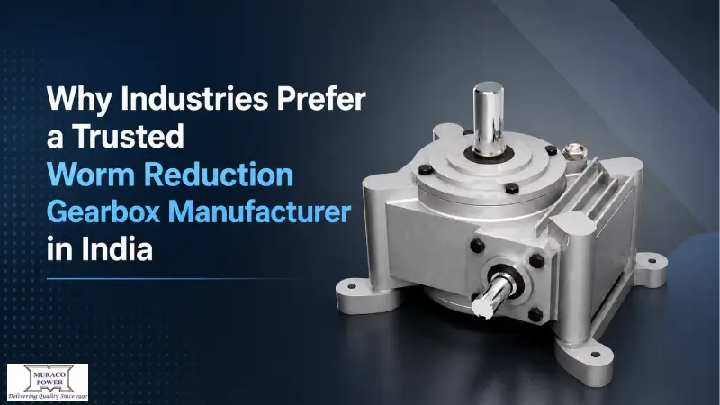 Worm Reduction Gearbox Manufacturer in India