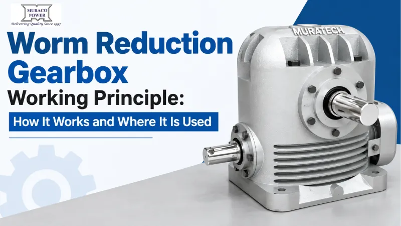 Worm Reduction Gearbox Working Principle: How It Works and Where It Is Used